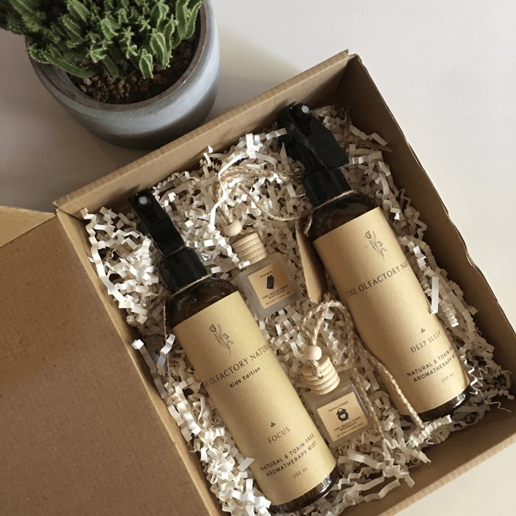 Minimalist aromatherapy mist and car diffuser gift pack