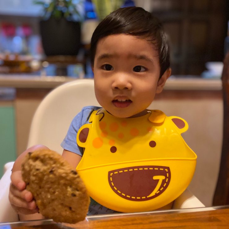 toddler eating a cookie