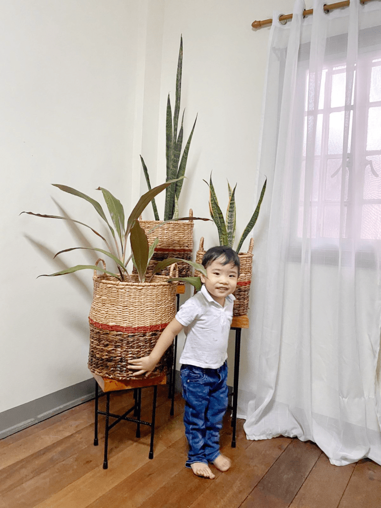 A toddler among planters