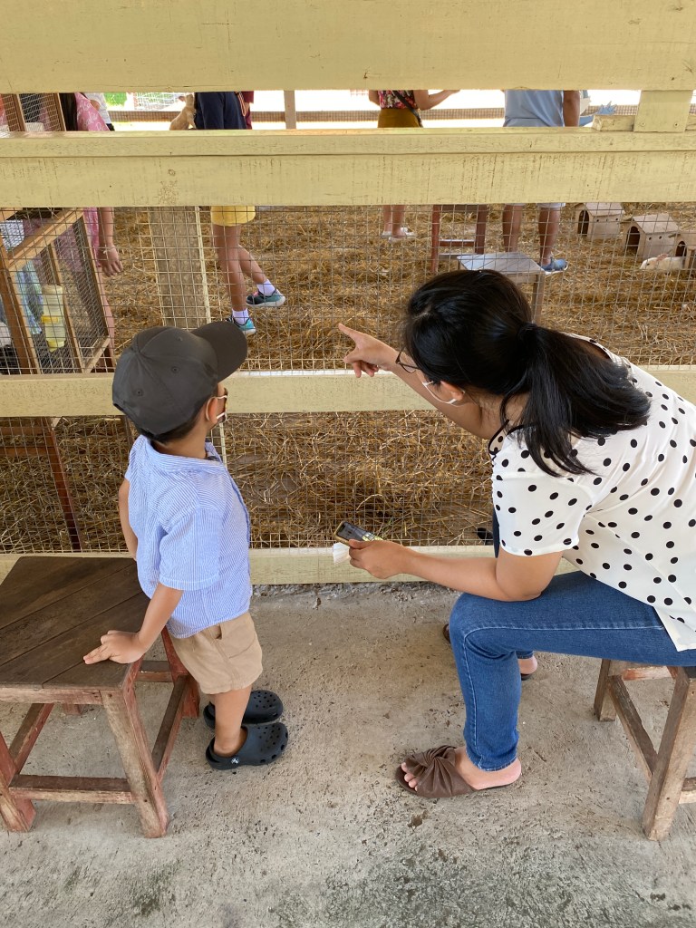 Mom and son spending time in a petting zoo