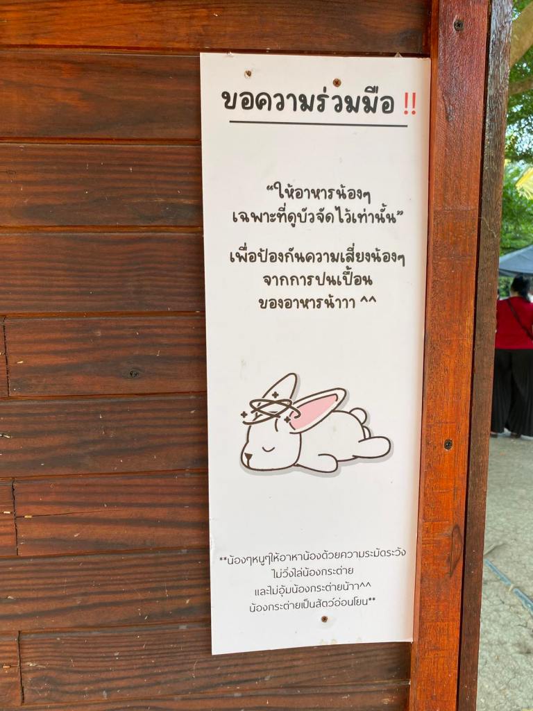 Cute bunny signage