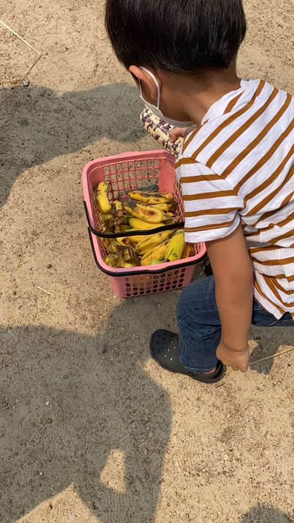 Feeding fruits and veggies to the elephants