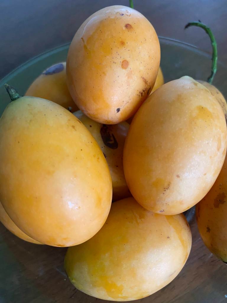 A bowl of mayong chid or marian plum