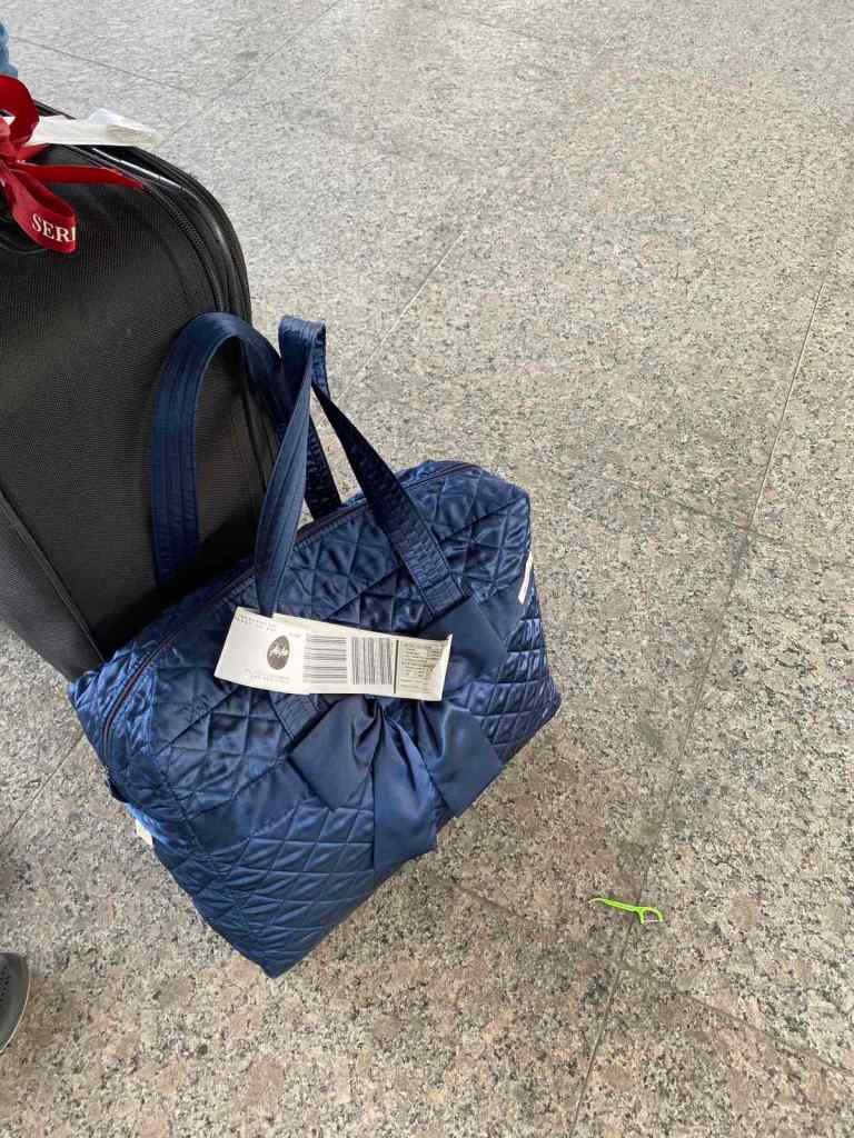 Lightweight and versatile Naraya bag