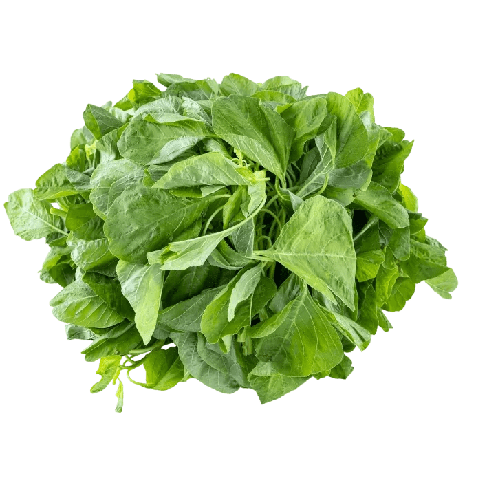 A bunch of local thai spinach