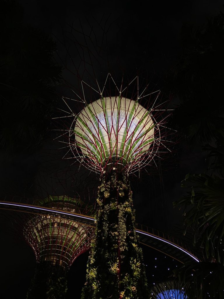 Singapore Gardens by the Bay's Super Trees