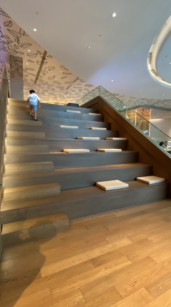 Giant wooden stairs with sitting cushions 