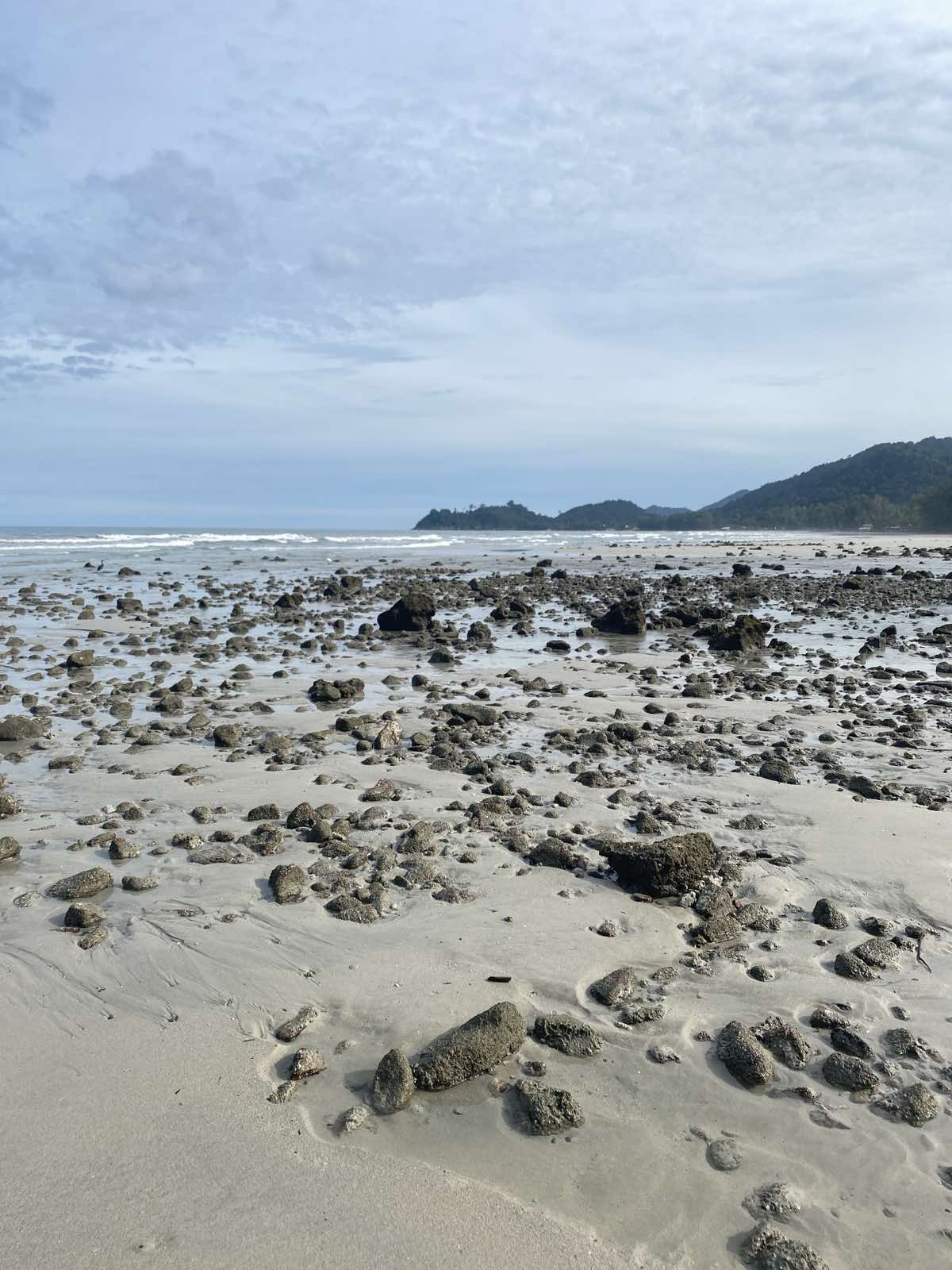 A beach in low tide showing its rocky bed
