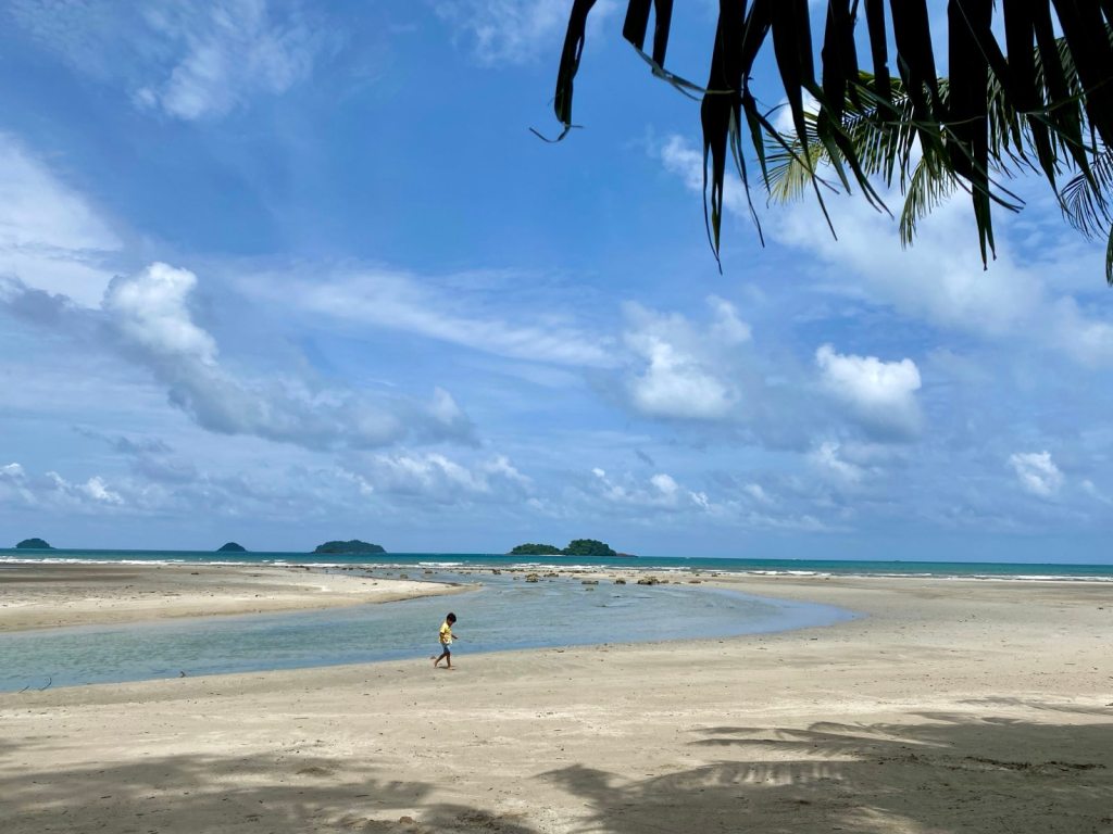 Little boy walking on the beach in the morning